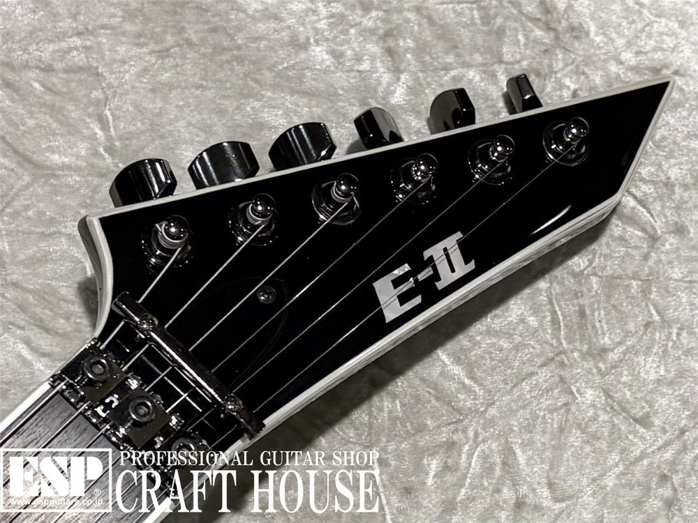 E-II HORIZON SGZ Custom Black