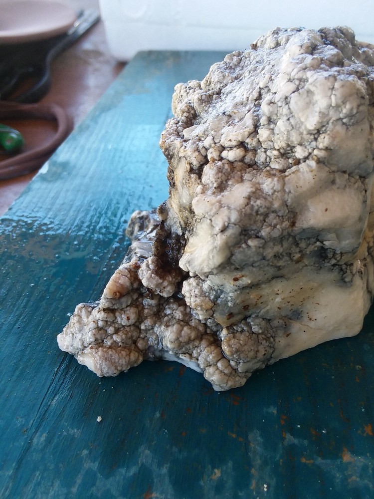 Lapidary Howlite Window Cut Spider Veining Collect Display