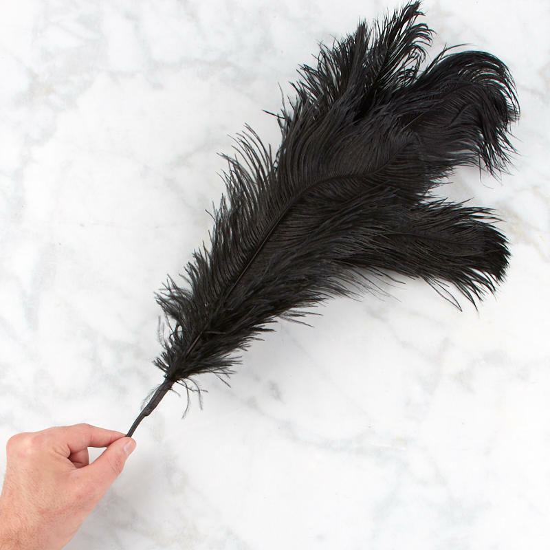 Factory Direct Craft Colorful Black Feather Top Accenting Spray