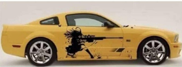 Vinyl stickers / decals cars