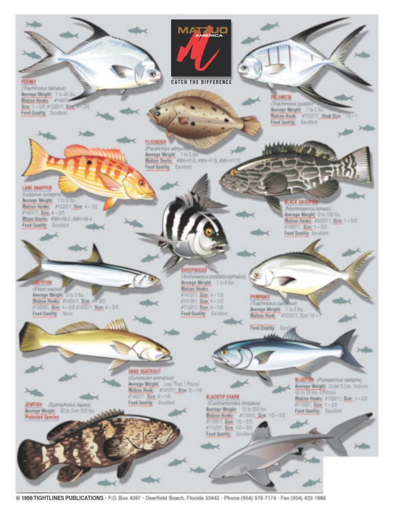 Backcountry & Flats Fish Identification Chart - Quick Reference Guide