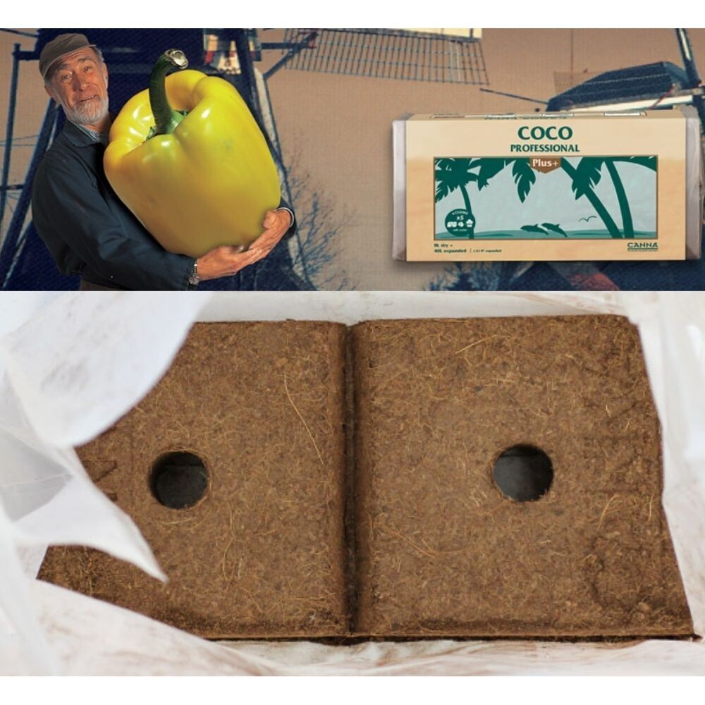 CANNA COCO PROFESSIONAL PLUS CUBE 40L HYDROPONICS GROWING MEDIUM GROW PLANTS