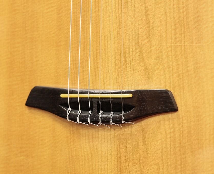 Furch GN4SR Used Elegat