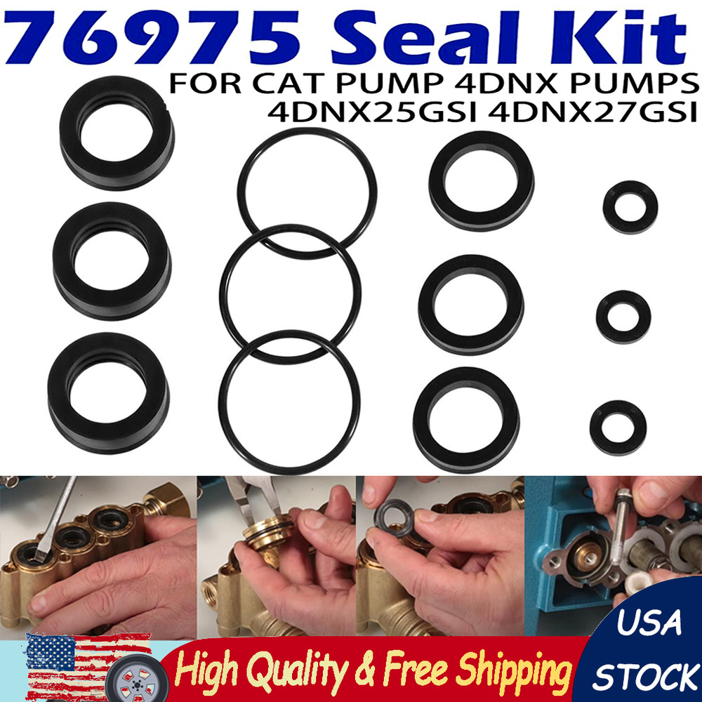 76975 Seal Kit for CAT Pump 4DNX Pumps 4DNX25GSI 4DNX27GSI Regular Maintenance