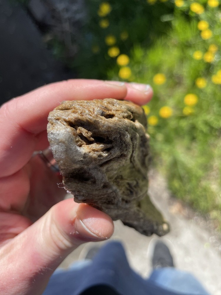 Super Unique, Polished, Agatized/opalized petrified wood