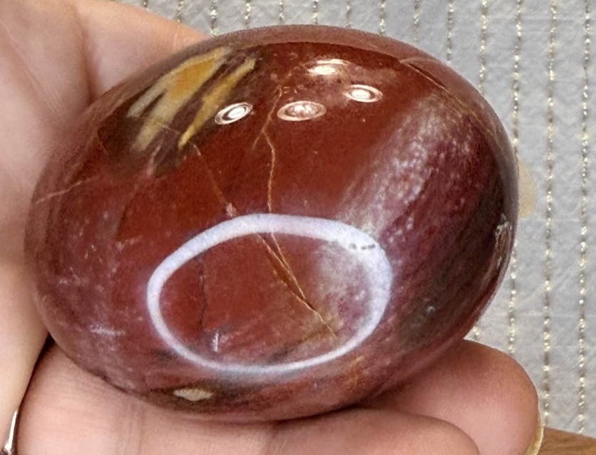 Petrified Wood Palmstone
