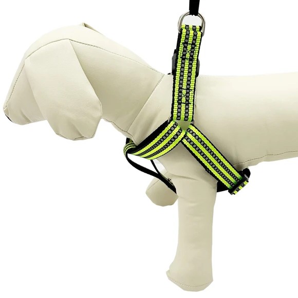 Adjustable Reflective Dog Harness, Assorted Colors, up to 25lbs