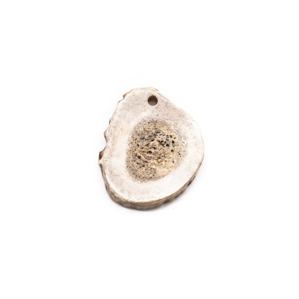 Large Antler Pendant
