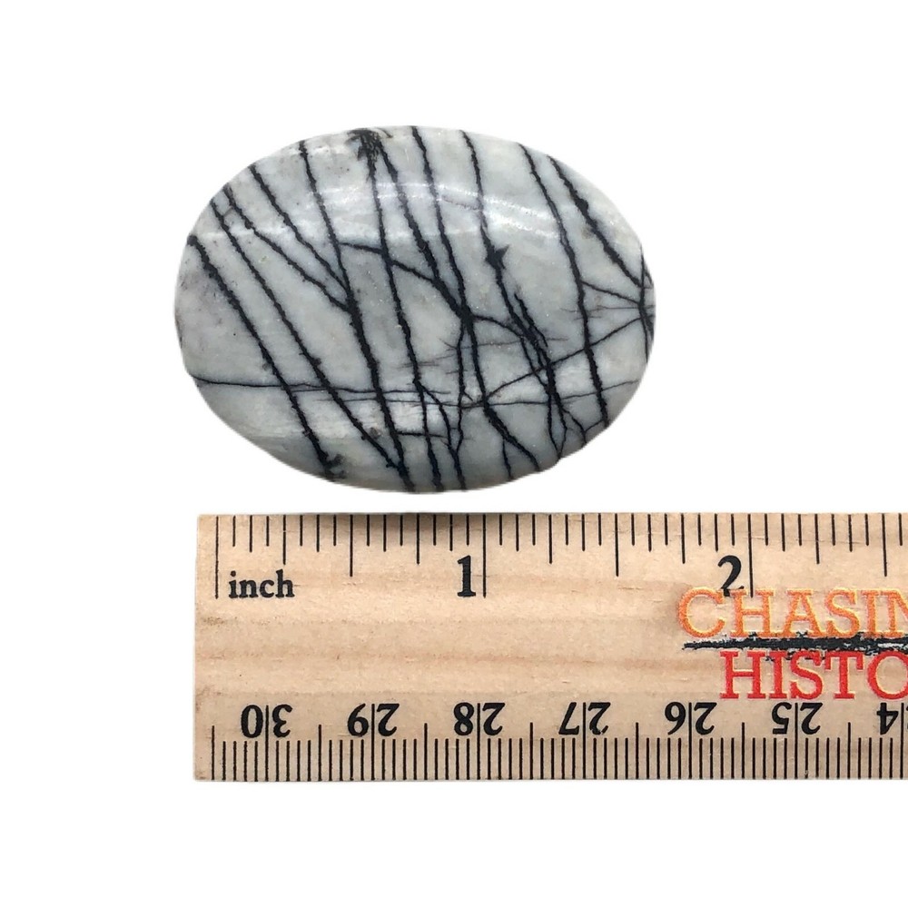 Spider Web Jasper Palmstone - Beautiful Metaphysical Stone