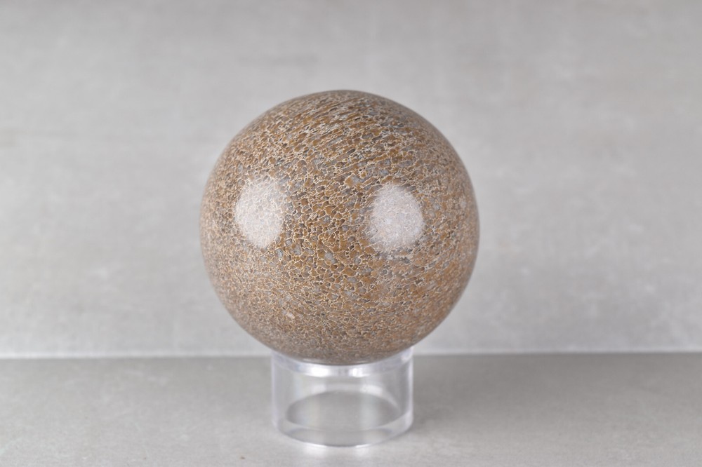 Dinosaur Bone Sphere from Morocco 7.6 cm # 20121