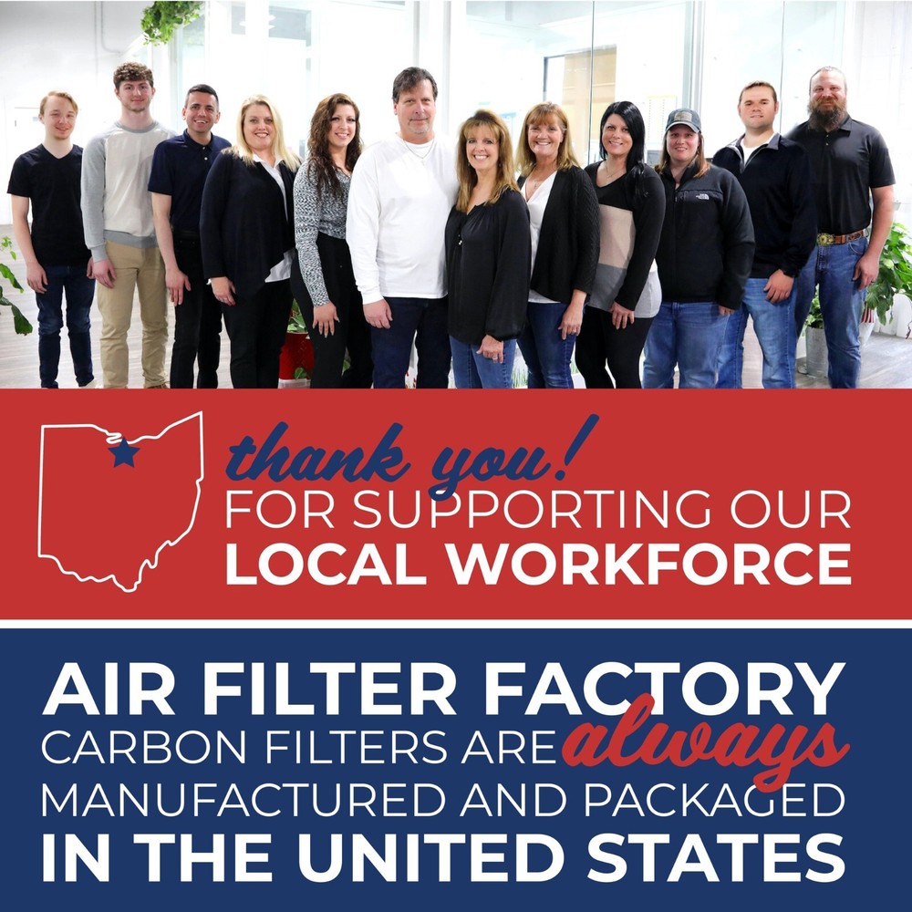 COMPATIBLE With HUNTER 30078 REPLACEMENT ACTIVATED CHARCOAL CARBON PRE-FILTER