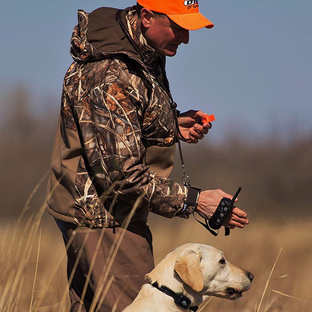 DT Systems Rapid Access Pro Trainer RAPT 1400