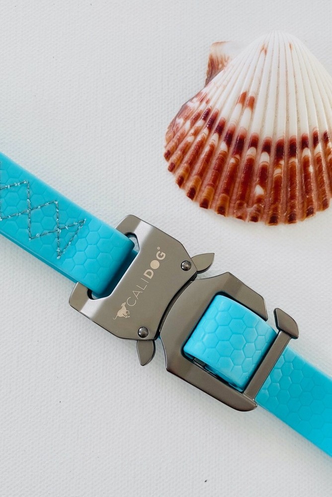 CALIDOG Aquamarine Waterproof Leash and Collar Set.