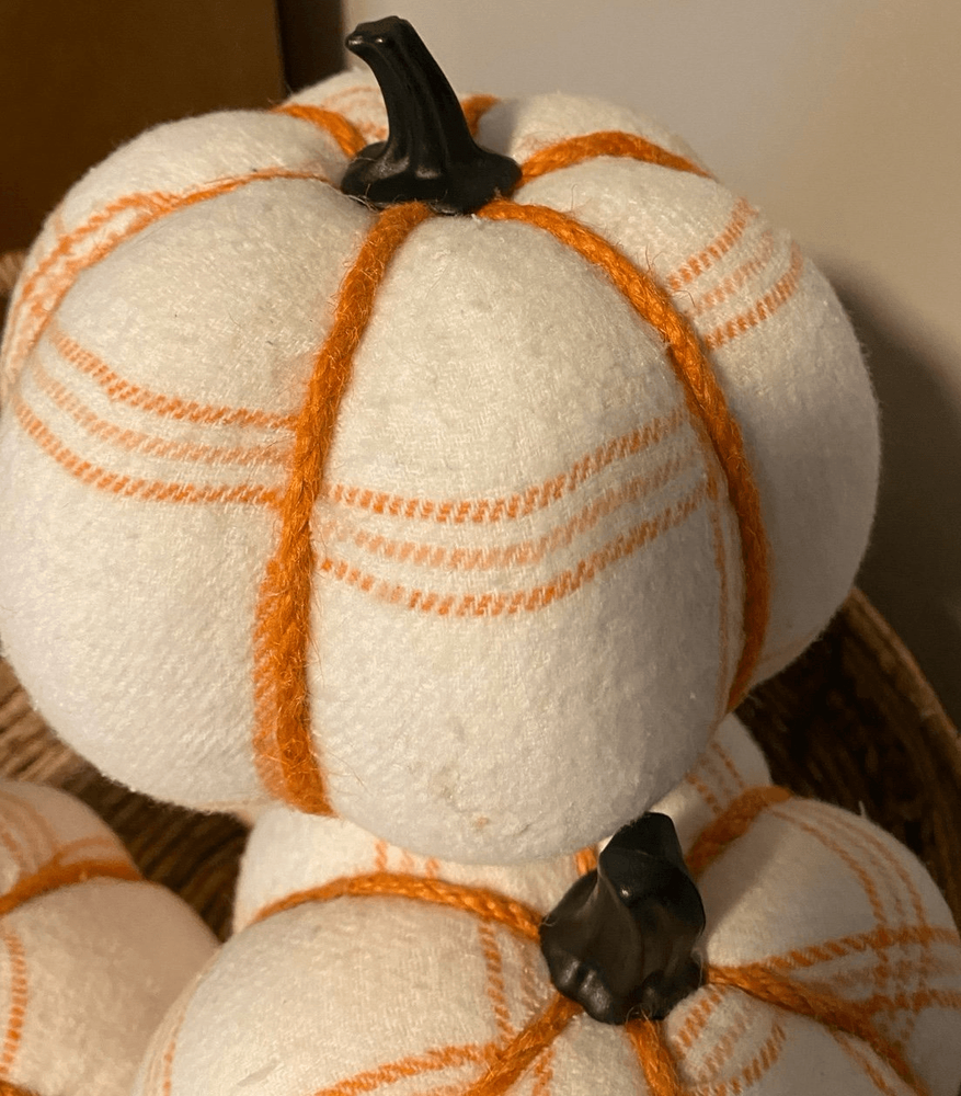 Hyde & Eek Pumpkin Decor