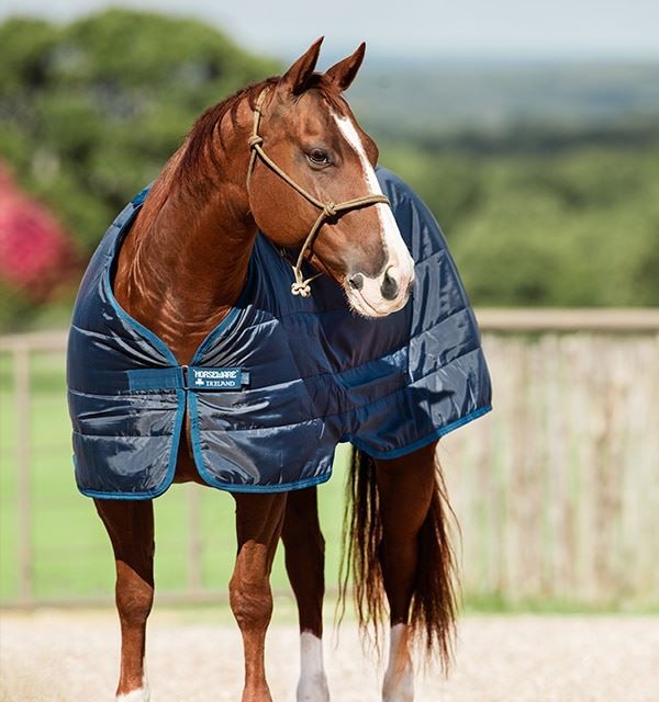Horseware Liner 300G
