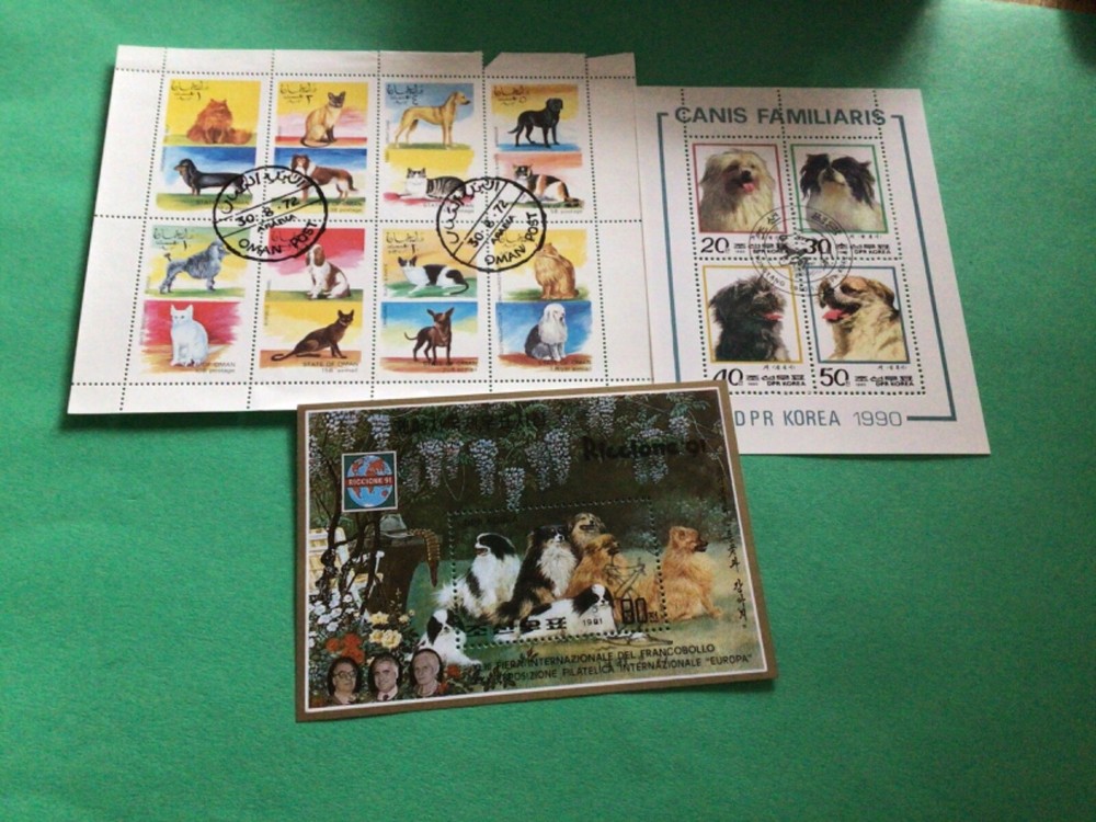 Dogs three  stamps sheet A20191