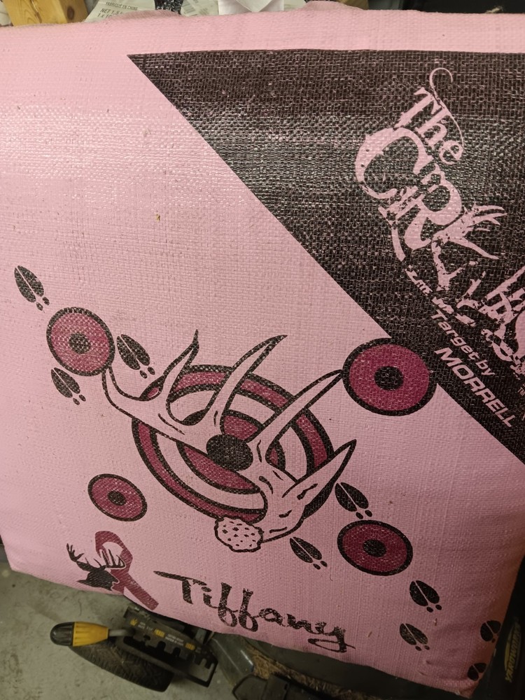 Bow Target Pratice Brand New