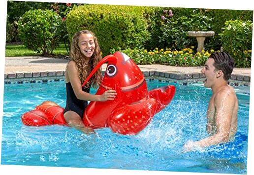 Swimming Pool Float Rider Red Lobster