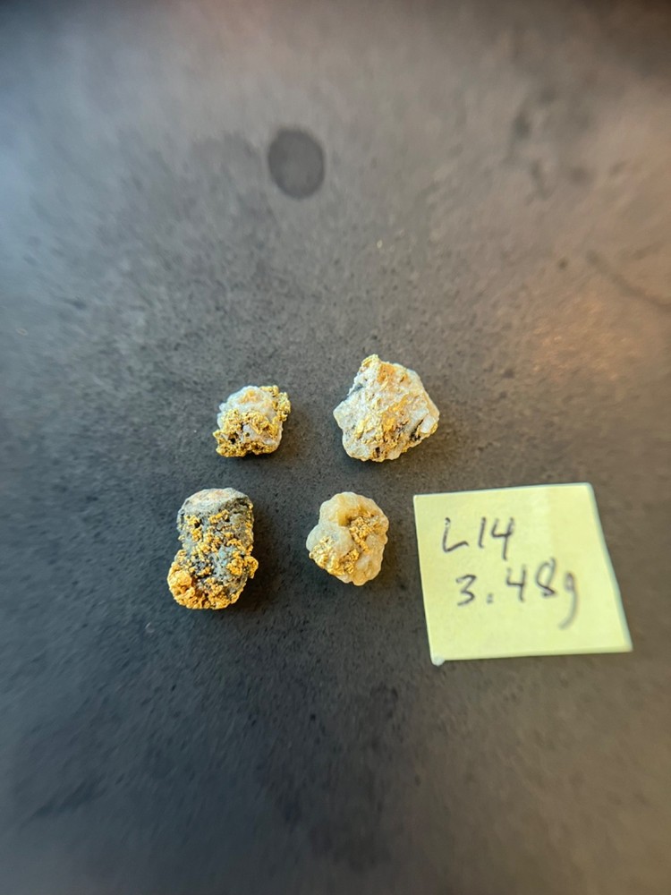 Idaho Gold Nuggets 3.48 grams