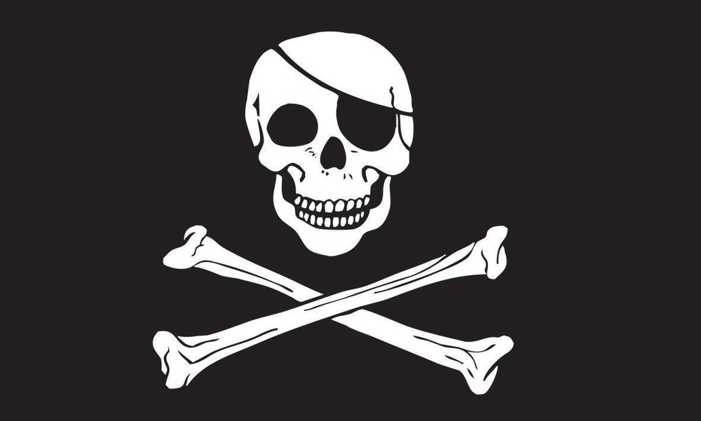 NEW 2 pk. Black Pirate Skull Replacement Flag