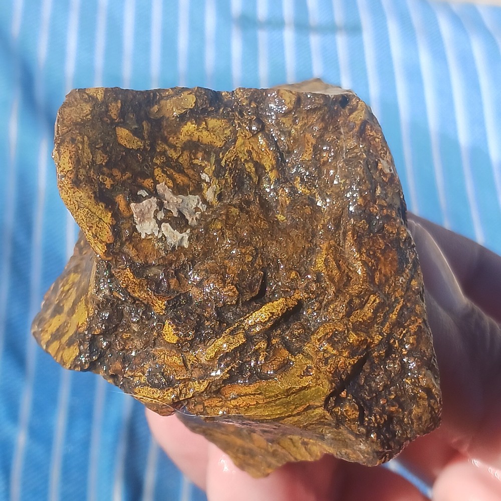 Jasper Rough Specimen Display Lapidary Potential