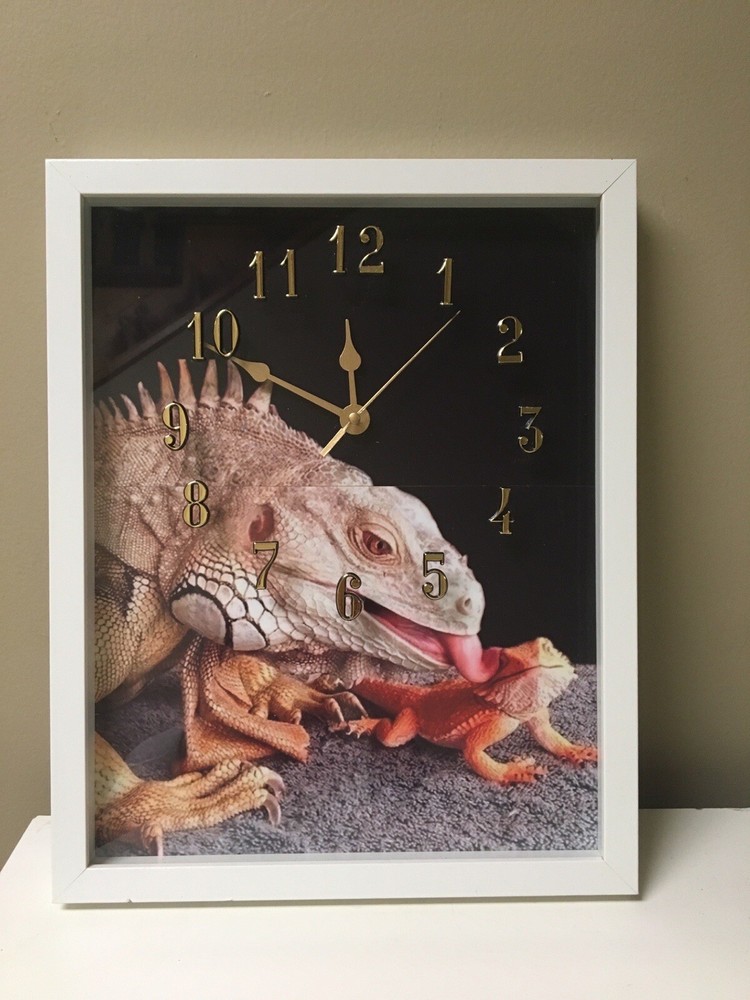 Bearded Dragon Clocks