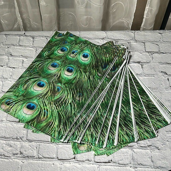 Poly Mailers Peacock Feathers 10” x 13” 50 pack
