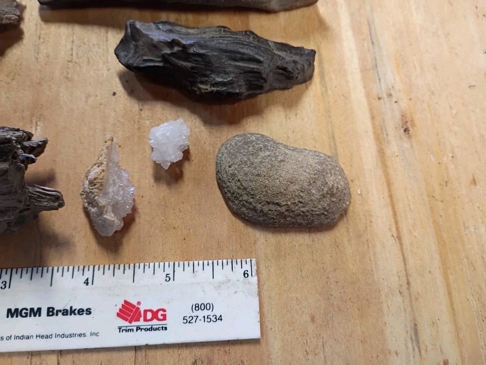 Texas Petrified Wood For Display Quartz Fossil