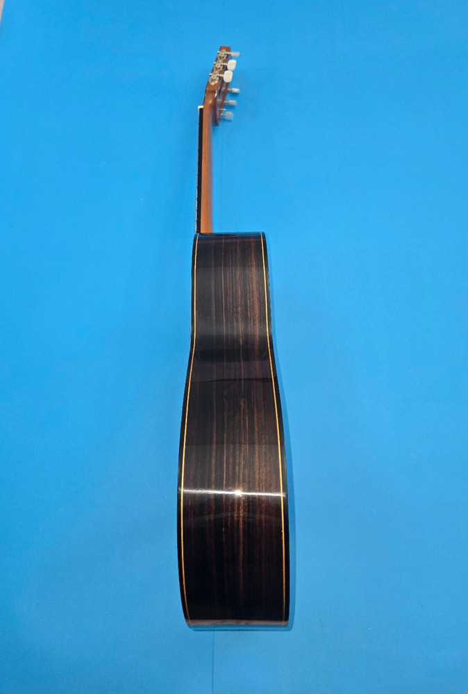 GeronimoGarcia Concert Classical Guitar