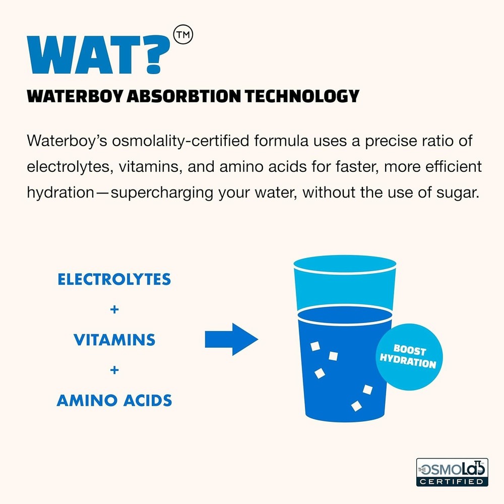 Waterboy Workout Hydration – Sugar-Free Electrolyte | Blue Raspberry (Pack of 2)