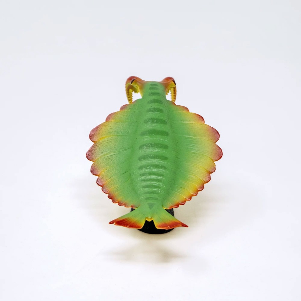 Anomalocaris Soft Model Figure Cambrian Creatures Favorite New