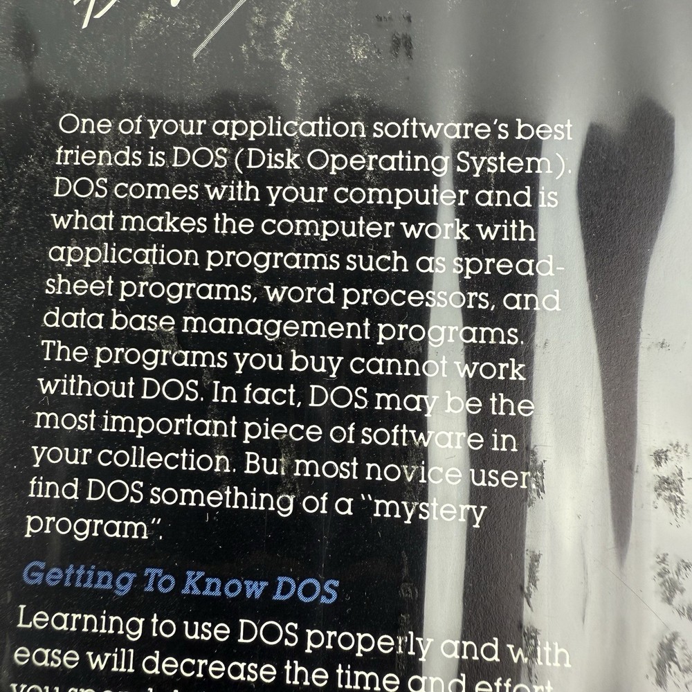 Individual Software Professor DOS Interactive Tutorial Simulation Vintage 1984
