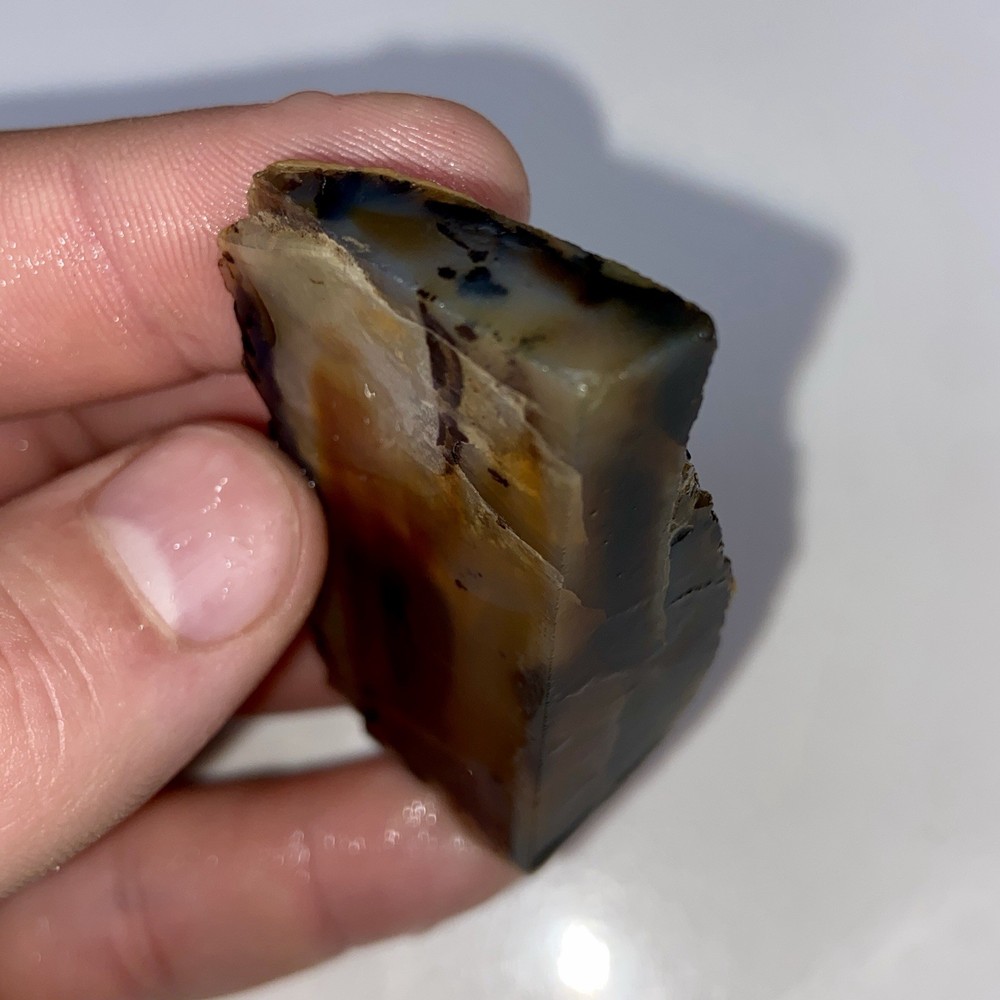Montana Agate Unique Optical Depth 1.49 Oz