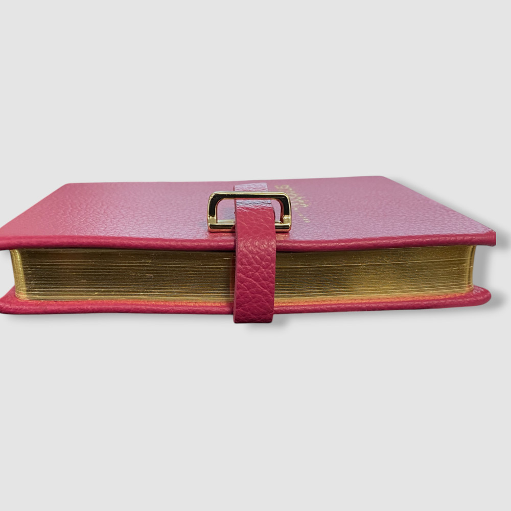 Graphic Image x Bergdorf Goodman Pink Leather Diary