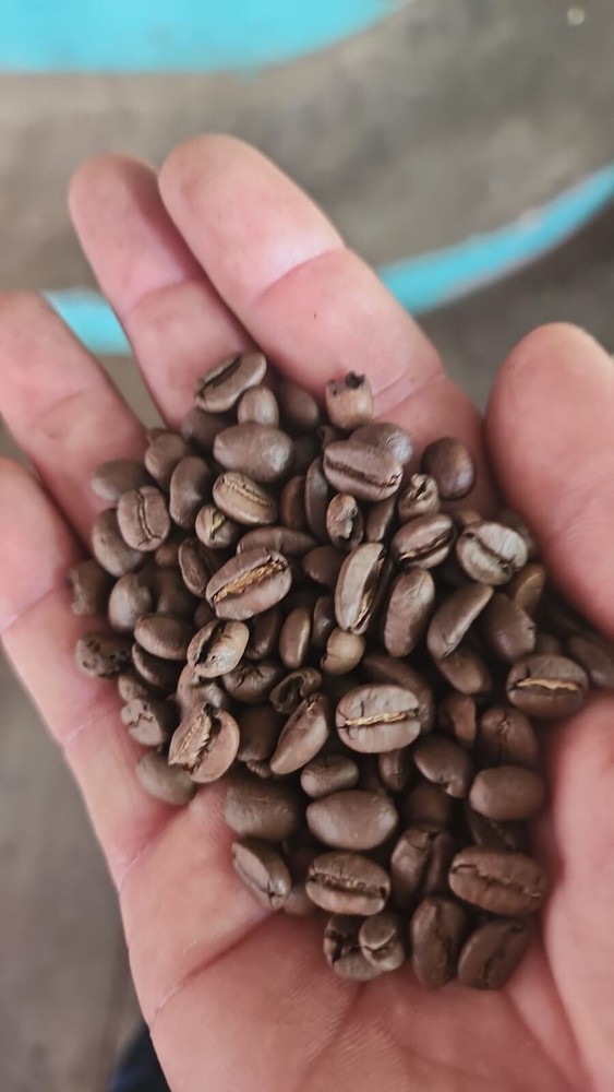 Café Nicaragüense