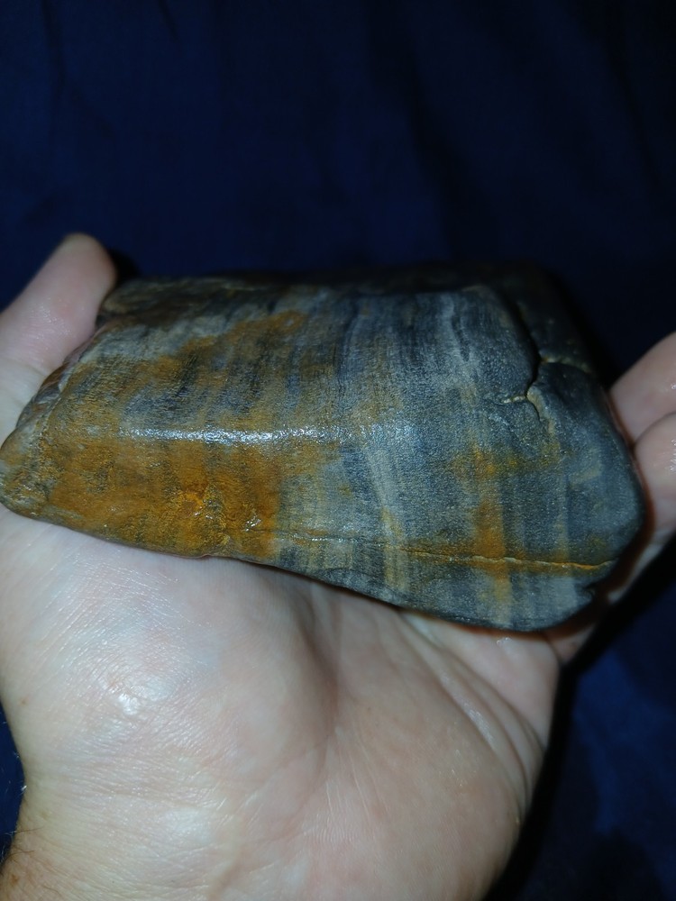 19 oz Multi Color Petrified Wood