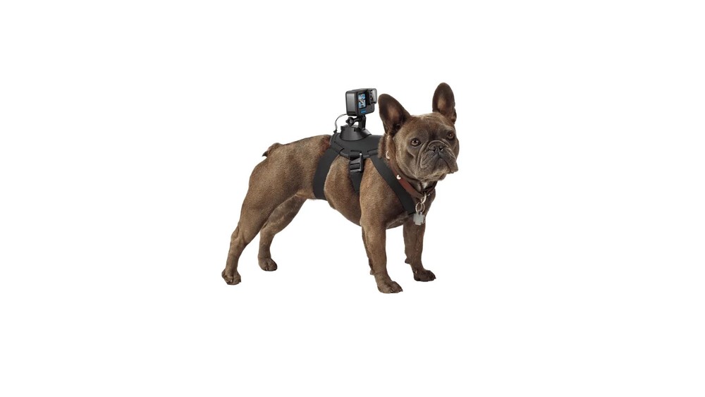 GoPro Fetch Dog Harness - New