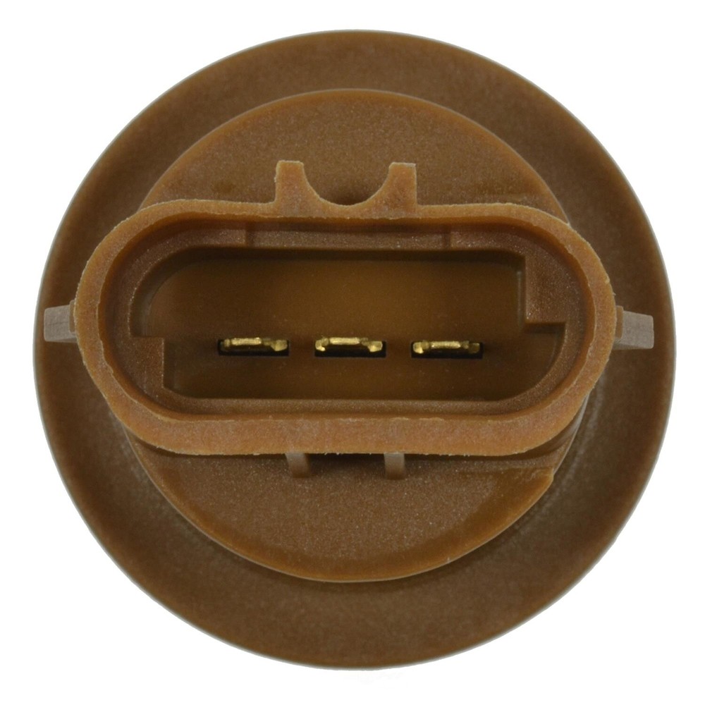 Parking Light Socket Standard Motor Products S808