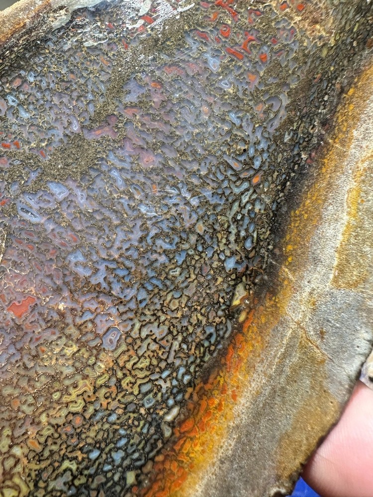 Dinosaur bone rough **hxtled high grade slab.