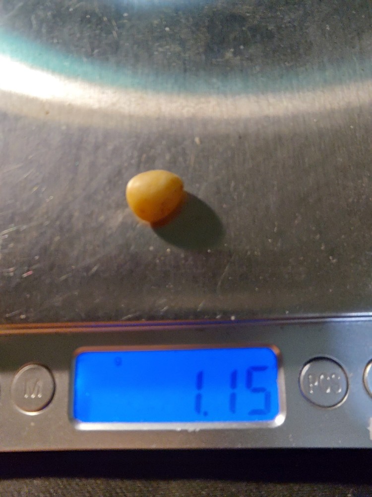 5.5ct Rough White Natural Diamond | Golconda