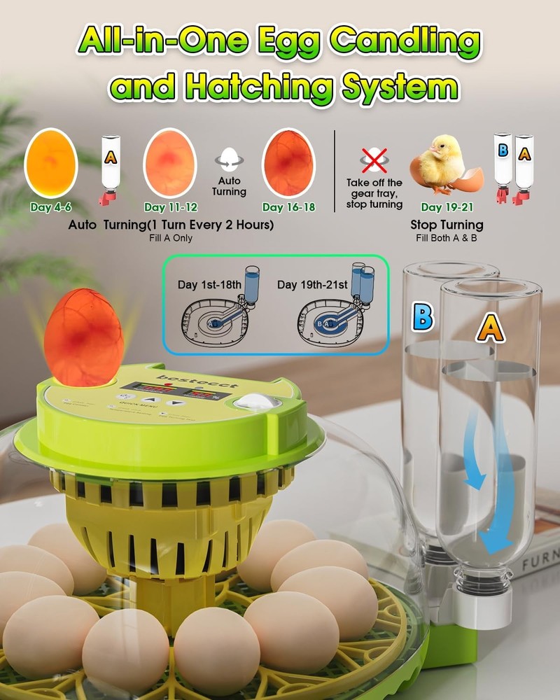 Egg Incubators for Hatching Eggs,12 Egg Incubator with Auto Egg Turning Humidity