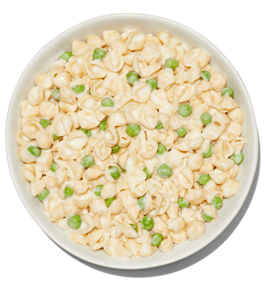 (4 pack) Shells & White Cheddar - Lower Carb Protein Mac and Cheese, 5.5oz