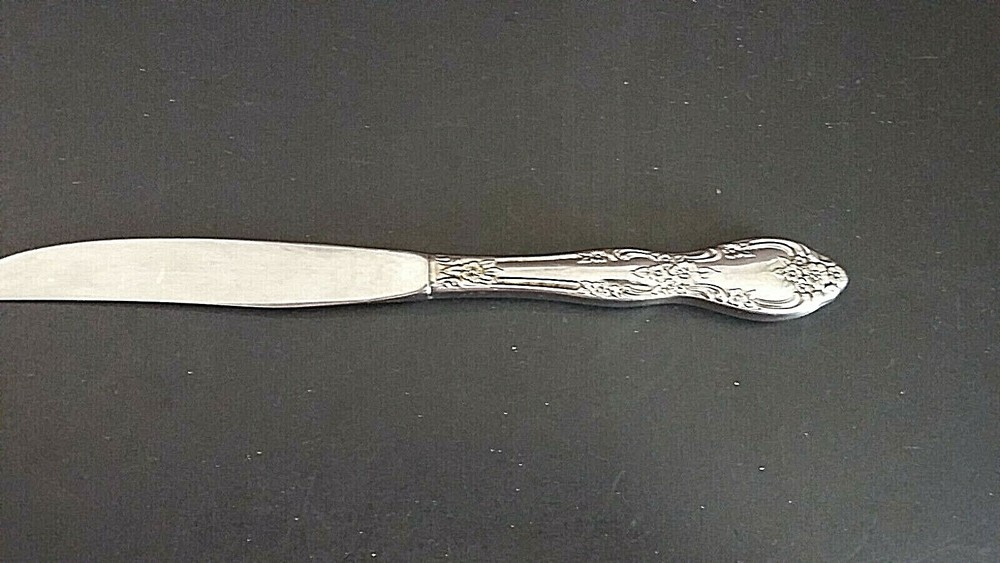 Oneida Stainless Galveston Dinner Knife 9 1/8"