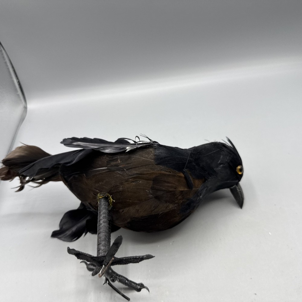 5 PCS Black Feathered Crows Halloween Ravens