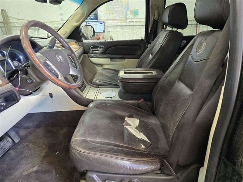 ESCALAESV 2011 Camera/Projector 588155