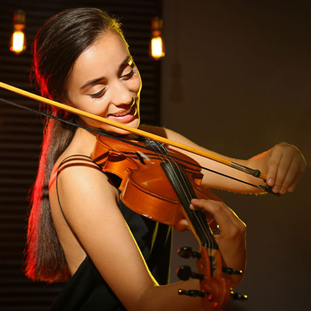4/4 Violin 5 String Handmade with Accessories for Student Beginners Nice Sound