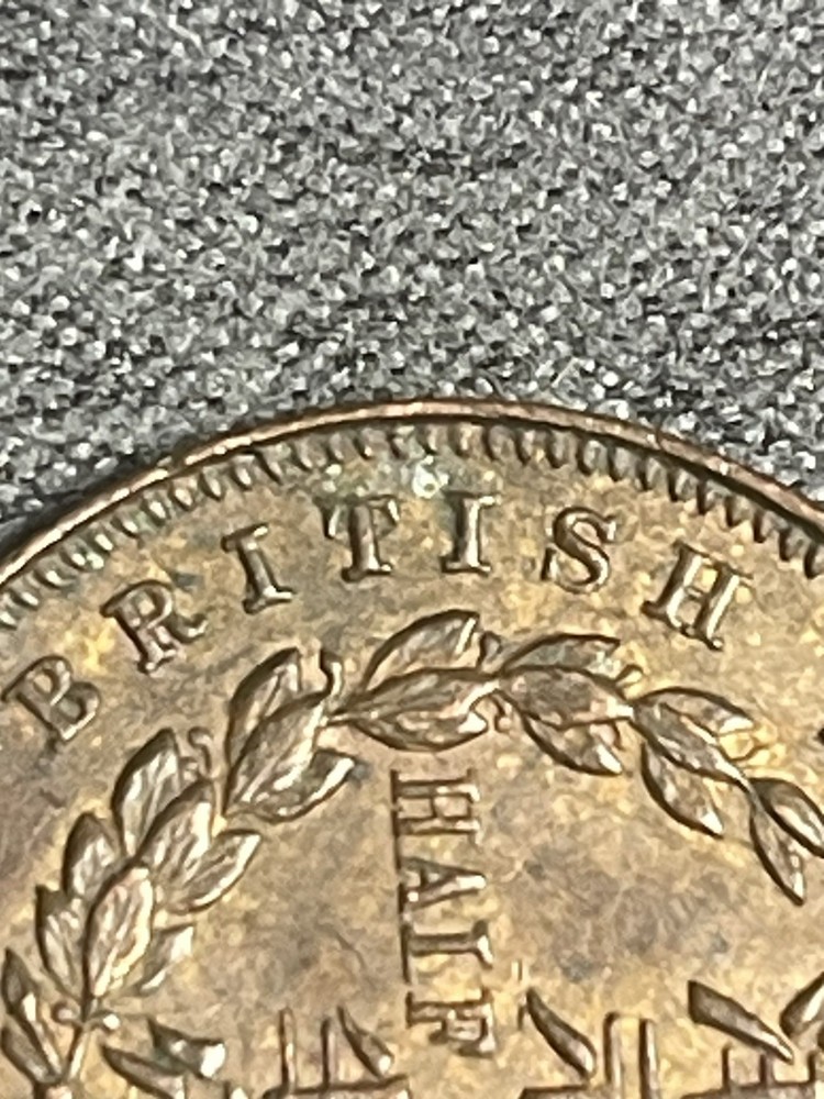 1891-H BRITISH NORTH BORNEO HALF CENT 1/2C (#329)