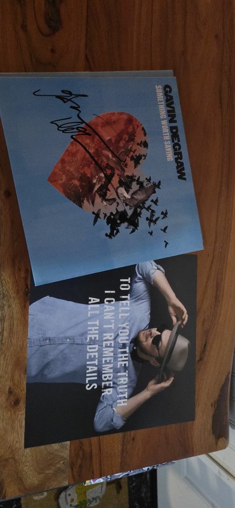 Signed Gavin Degraw Vinyl Something Worth Saving - Autographed Sleeve
