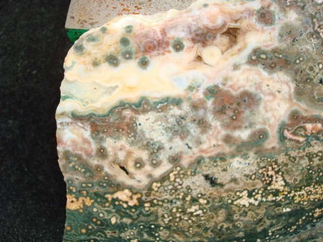 ocean jasper slab