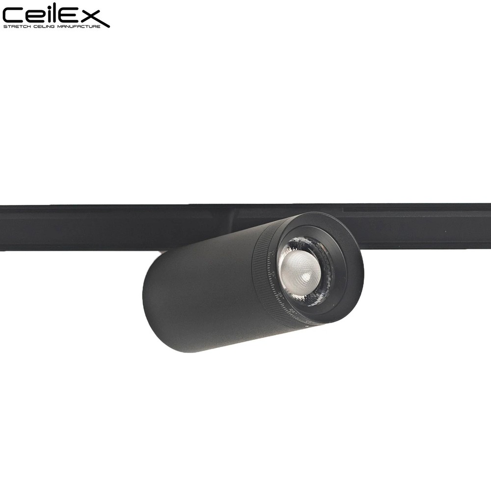 Ceilex 5W Black Adjustable Magnetic Focus Spot Light (Zigbee + 3CCT)